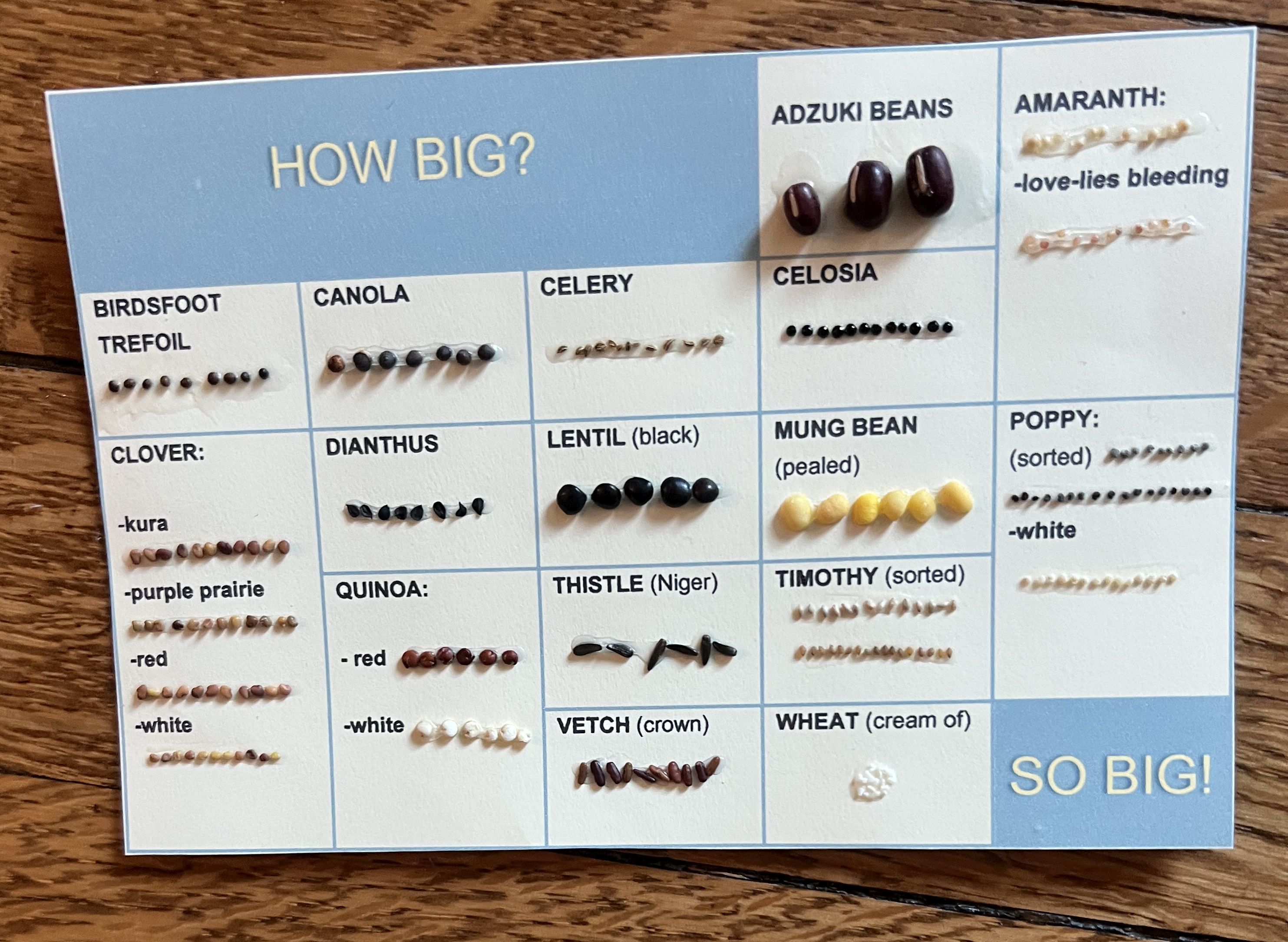 [Laura Melnick How Big? Index image]